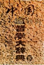 中国监督学大辞典 下 1996 PDF电子版封面 7500526687 郑力主编