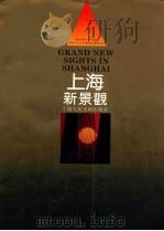 上海新景观 1996 PDF电子版封面 7532216063 李春涛主编