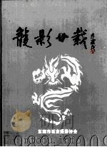 龙影廿载（ PDF版）