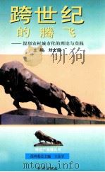 跨世纪的腾飞 深圳农村城市化的理论与实践 1994 PDF电子版封面 7800687511 刘文韶主编;涂成林,何广林副主编