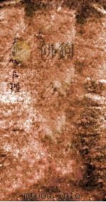 寿世医鉴 上 PDF电子版封面 亚拙山人编辑