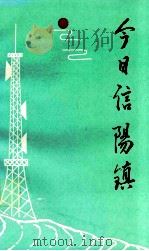今日信阳镇 1991 PDF电子版封面 信阳镇思想政治工作研究会编