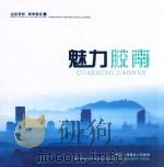 魅力胶南（ PDF版）