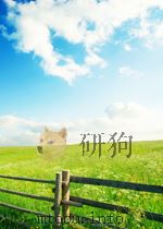 信息化侦查教程（ PDF版）