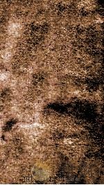 金史  本纪  卷16-21   1874  PDF电子版封面    （元）托克托等撰 