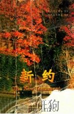 新约（ PDF版）