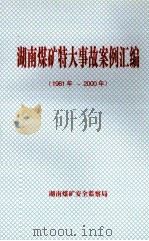 湖南煤矿特大事故案例汇编 (1981年-2000年) PDF电子版封面 湖南煤矿安全监察局