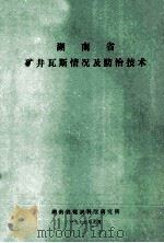 湖南省井瓦斯情况及防治技术 1979 PDF电子版封面 湖南省煤炭科学院研究所编辑