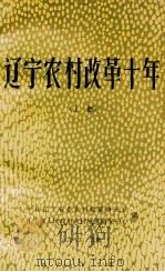 辽宁农村改革十年  党的十一届三中全会十周年纪念文集  上（1989 PDF版）