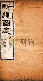新疆图志 卷89 金石志 2 PDF电子版封面 王树枏