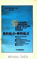 新的起点   1995  PDF电子版封面  7806010416  施大光著 