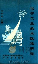 辽宁工业技术改造研究   1993  PDF电子版封面    刘明朗主编；戴明义，齐建珍，刘万清，邱恒济，成刚副主编 