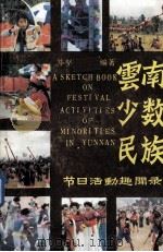 云南少数民族节日活动趣闻录 1992 PDF电子版封面 7640026 毕坚编著