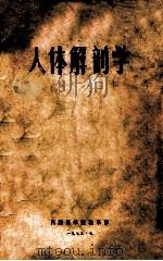 人体解剖学 1973 PDF电子版封面 昌维医学院教革部编