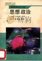 思想政治 高中一年级 第二学期 课程基础训练 1996 PDF电子版封面 7535517595 湖南省教育科学研究所编