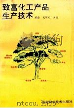 致富化工产品生产技术   1995  PDF电子版封面  7533710851  萧莹，龙明武主编 