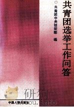 共青团选举工作问答 1993 PDF电子版封面 7800763951 共青团中央组织部编