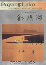 中国最大的淡水湖鄱阳湖 1993 PDF电子版封面 7805970009 施友主编
