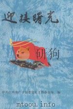 迎接曙光（ PDF版）