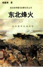 东北烽火:抗日联军抗战纪实 2 1995 PDF电子版封面 7810411918 杨慧清著