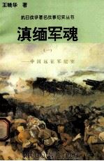 滇缅军魂:中国远征纪实 1 1995 PDF电子版封面 7810411918 王晓华著