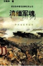 滇缅军魂:中国远征纪实 2 1995 PDF电子版封面 7810411918 王晓华著