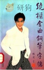 绕梁金曲钢笔字帖 1993 PDF电子版封面 7805214514 林建书