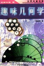 趣味几何学 1996 PDF电子版封面 7500623100 (苏)别莱利曼著;符其珣译