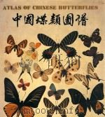 中国蝶类图谱 1996 PDF电子版封面 7805148201 李传隆,朱宝云著