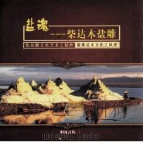 盐魂：柴达木盐雕（ PDF版）