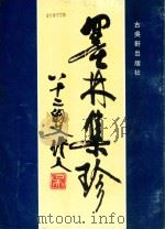 墨林集珍 1990 PDF电子版封面 780574002X 张瑞林主编