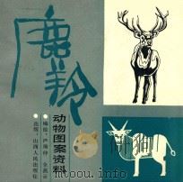 鹿羚 动物图案资料 1987 PDF电子版封面 严瑜仲,全燕云编绘