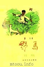 野马 1960 PDF电子版封面 宣风著