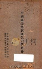 中国国民党到底代表的是什么 1928 PDF电子版封面 中国国民党天津特别市党务指导委员会宣传部编