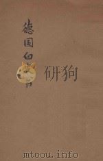 德国白皮书（ PDF版）