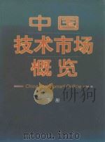 中国技术市场概览  上册（ PDF版）
