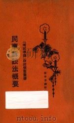 民事诉讼法概要 1929 PDF电子版封面 朱甘霖编著