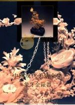 象牙金银器 1998 PDF电子版封面 7805262578 王振主编