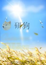 海关税务纪要（1919 PDF版）