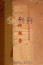 工作报告（ PDF版）