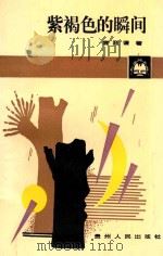 紫褐色的瞬间 1992 PDF电子版封面 7221027633 袁政谦著