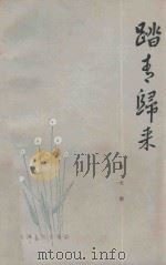 踏青归来 1981 PDF电子版封面 10072·702 张大明著