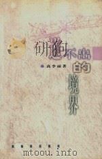道不出的境界 1998 PDF电子版封面 7801092996 高李丽著