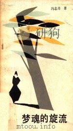 梦魂的旋流 1990 PDF电子版封面 7536310609 冯志奇著