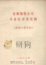 首都钢铁公司专业经济责任制  劳动工资专业（1983 PDF版）