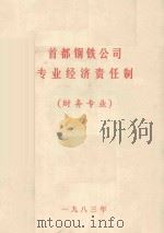 首都钢铁公司专业经济责任制  财务专业（1983 PDF版）