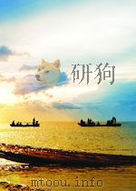 大国崛起与国家安全战略选择（ PDF版）