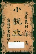 小说考证 文艺丛刻 乙集 下 1923 PDF电子版封面 蒋瑞藻编
