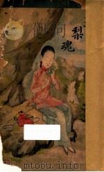 玉梨魂 1913 PDF电子版封面 徐枕亚著