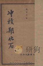 冲积期化石 1935 PDF电子版封面 张资平著